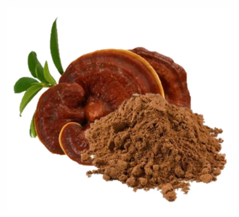 Reishi en polvo